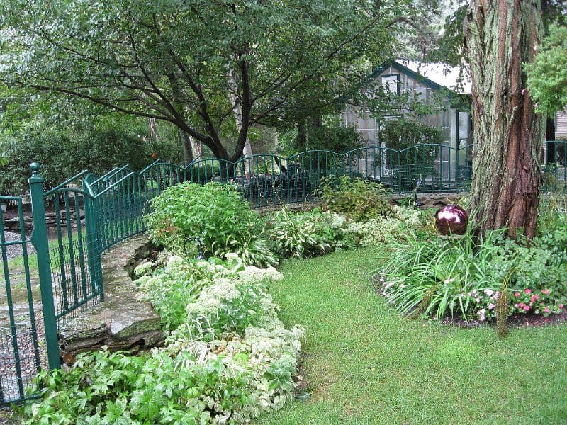 A mulched garden path between shrubs and trees