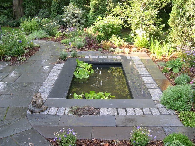 A garden pond with orange koi